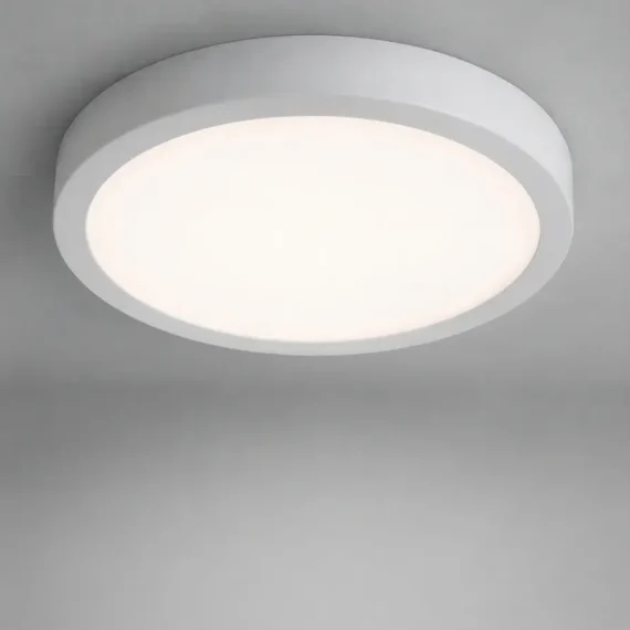 Ceiling Light